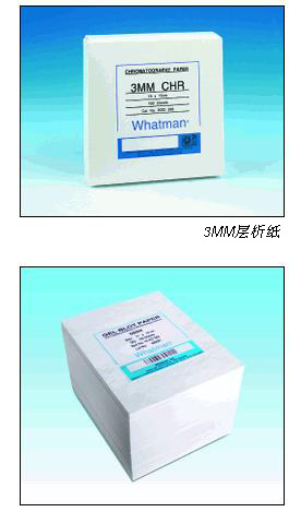 10426981-Whatman Grade GB005印迹滤纸200x200MM