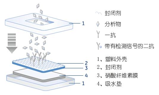 8116-2750 8116-2250-whatmanCF6吸收垫8116-2750 8116-2250