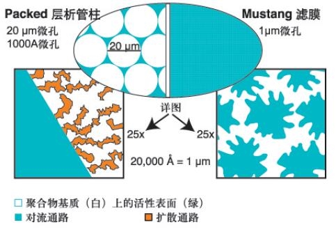 MSTG25E3-PALL除内毒素离子交换膜针头式过滤器