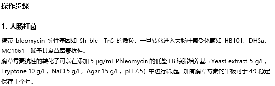 Phleomycin 腐草霉素