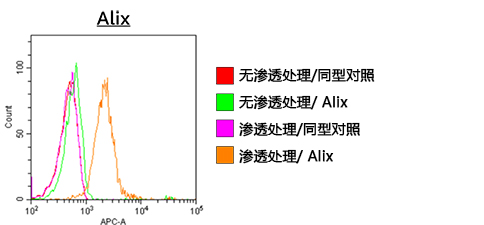 EV-Perm™ 外泌体膜渗透处理用试剂盒