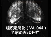 VA-044（聚合物引发剂）