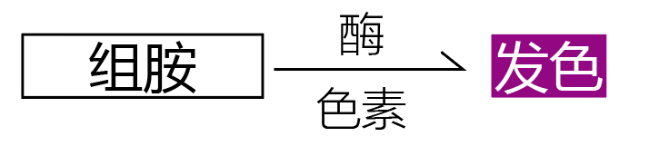 组胺检测试剂棒                              Histamine Check Swab