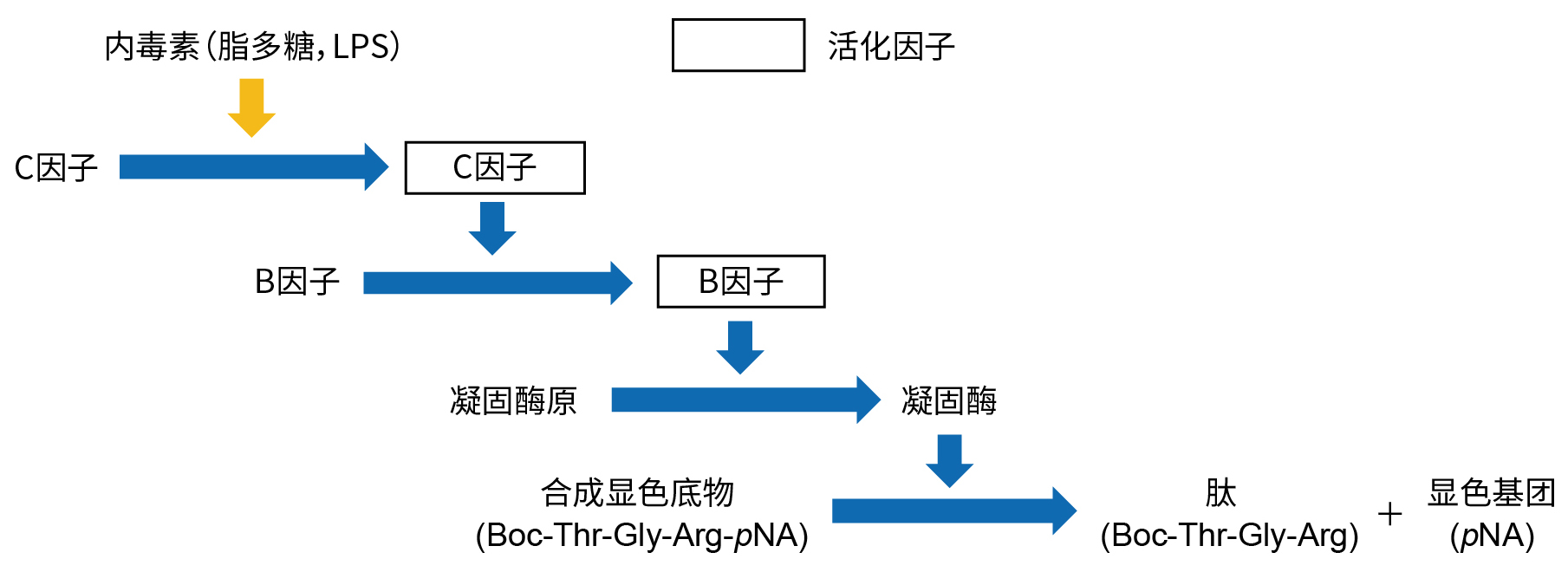 PYROSTAR™ Neo                              内毒素检测重组鲎试剂