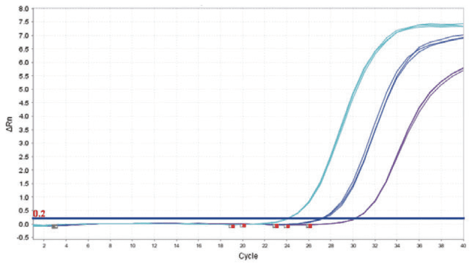 QCdetect™ 残留DNA检测试剂盒，大肠杆菌用                              QCdetect™ Residual DNA Detection Kit for E. coli