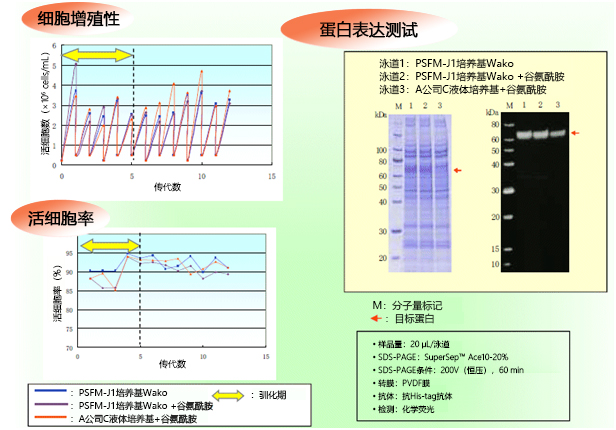 PSFM-J1 培养基 Wako，液体                              昆虫细胞培养用培养基