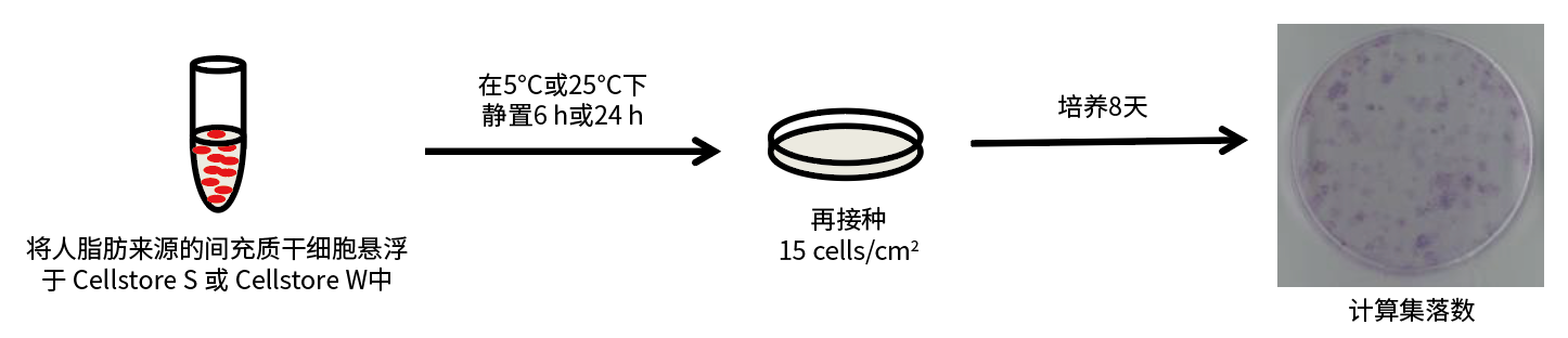 Cellstor S • Cellstor W                              室温/冷藏条件下进行细胞的运输和短期保存！