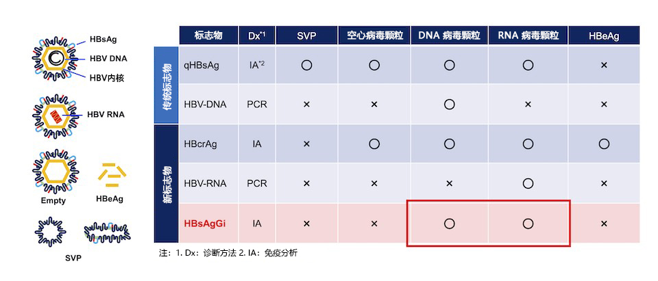 HBsAgGi抗体 & HBsAgGi ELISA试剂盒                              乙型肝炎病毒特异性检测