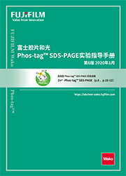 SuperSep Phos-tag™ 预制胶                              SuperSep Phos-tag™