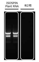 ISOSPIN Plant RNA                              从植物组织提取RNA试剂盒