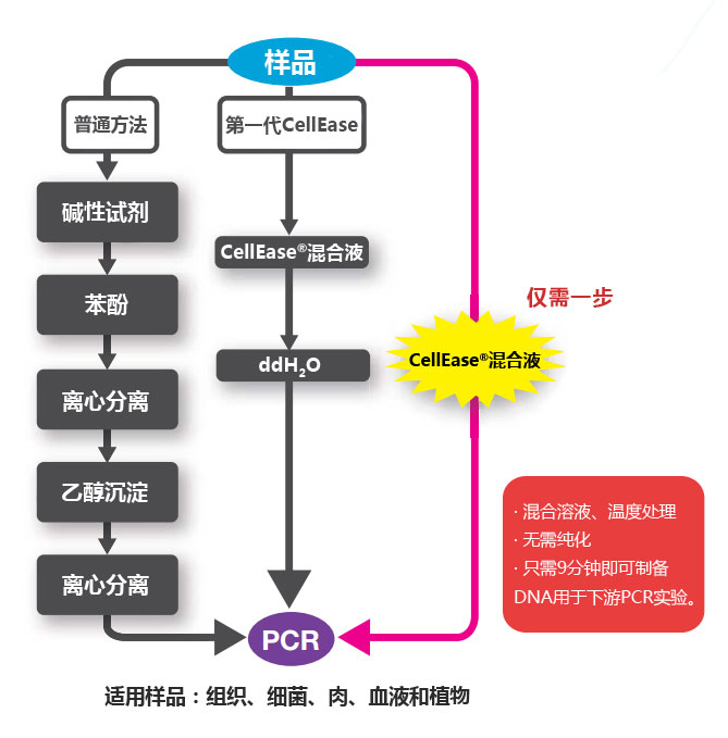 CellEase® II DNA快速提取试剂盒                               DNA extraction reagent : CellEase® II series