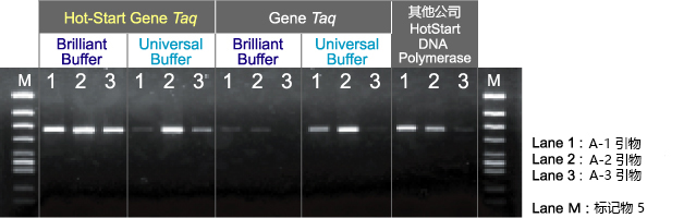 热启动PCR用DNA聚合酶——Hot-Start Gene Taq