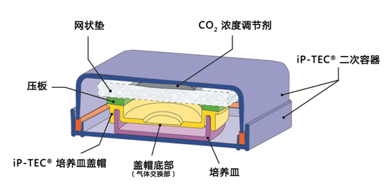 iP-TEC iPS细胞运输系列