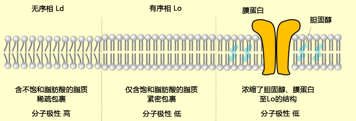 脂质研究用 产品特辑